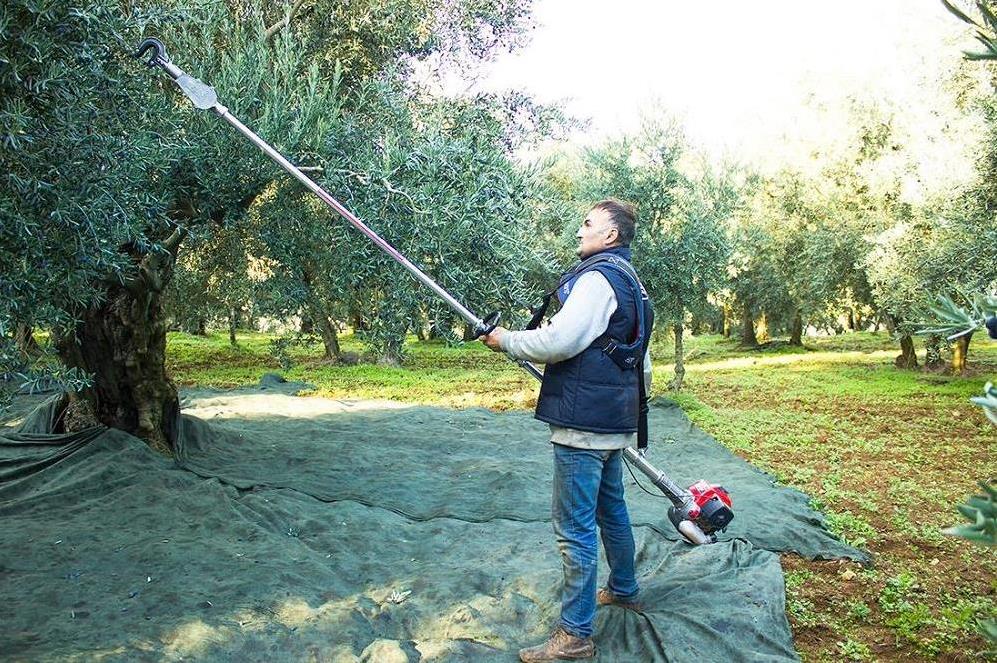 Kawasaki TJ53 HFS Şanzımanlı Zeytin Hasat Makinası - Hemenall